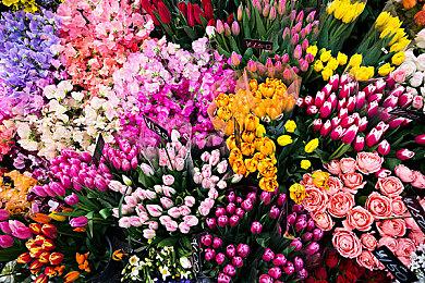 传言称《上古卷轴4：湮没》重制版将包含所有DLC