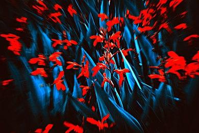 弹幕动作游戏《东方新世界》7月发售 登陆主机PC